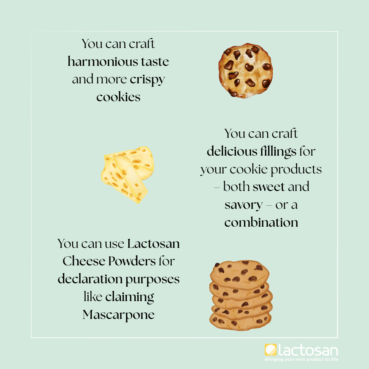 5 Lactosan Cheese Powder for Cakes and Cookies.png