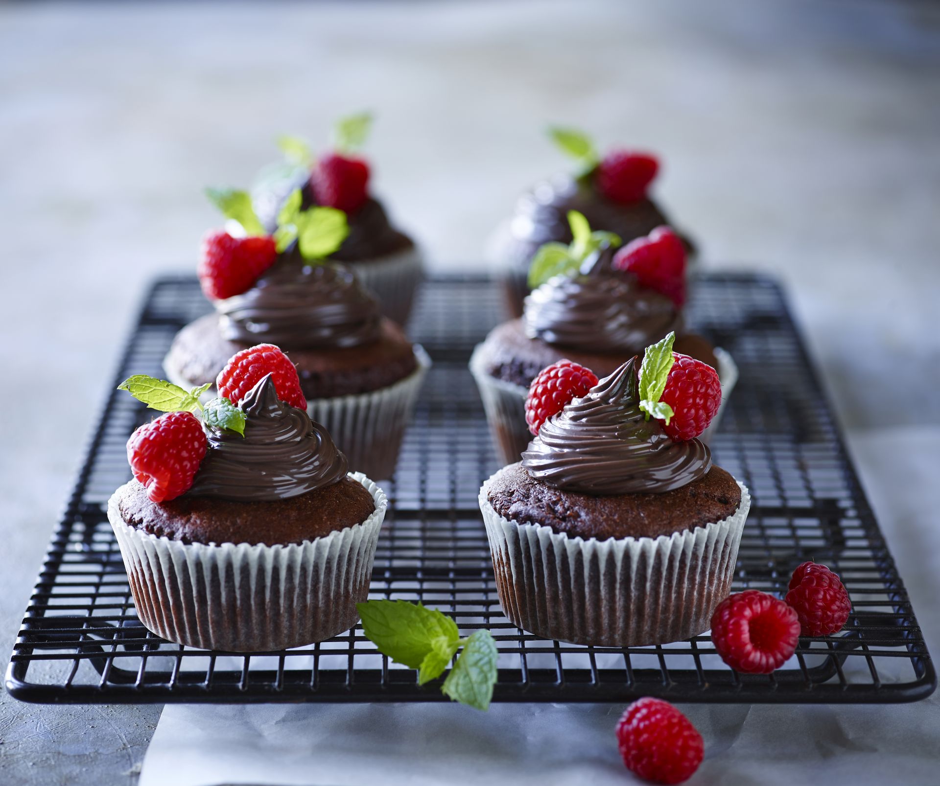 Lactosan Cheese Powder Solutions For Chocolate Muffin