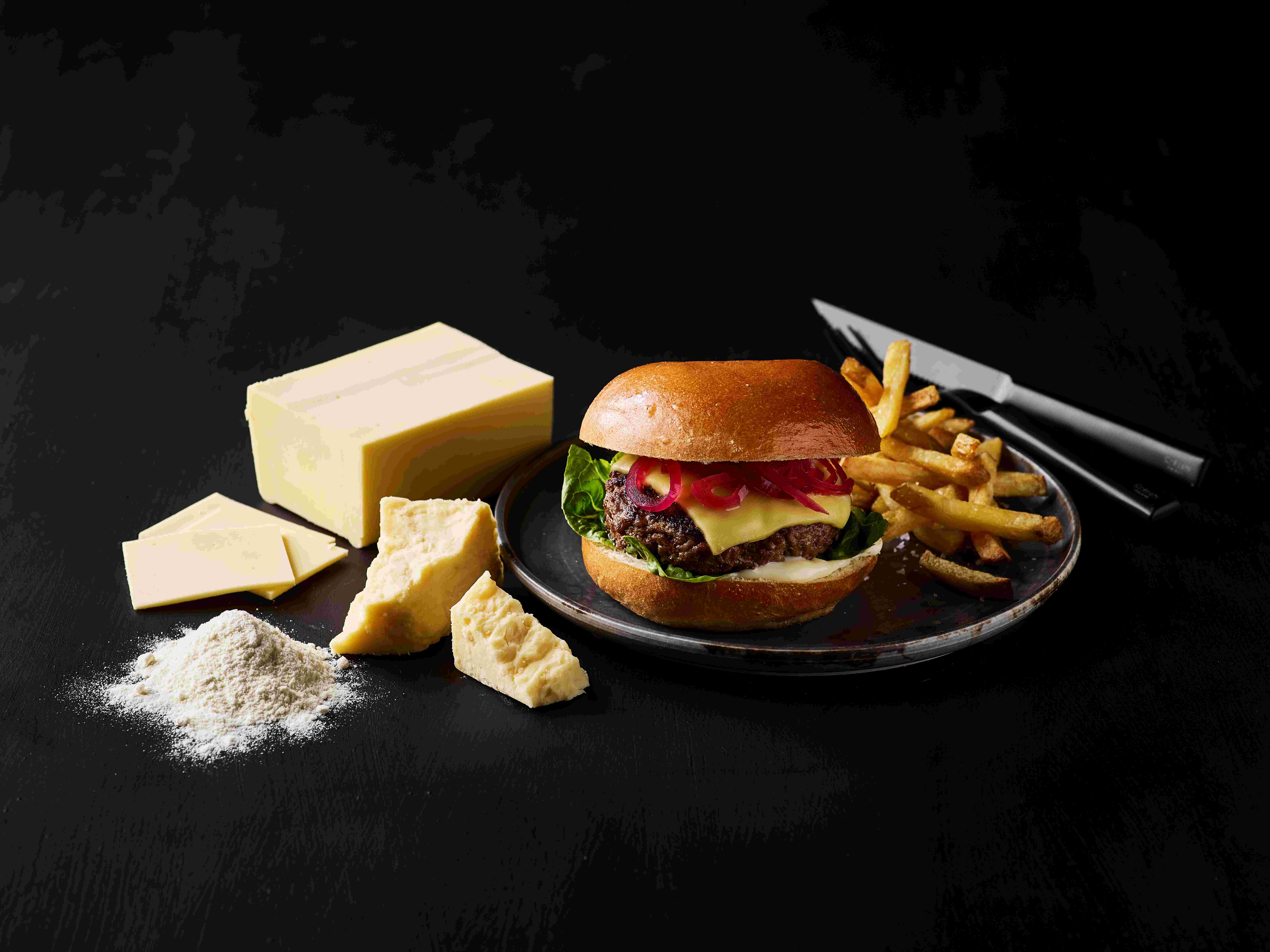 Lactosan Cheese Powders For Imitation Cheese Cheddar