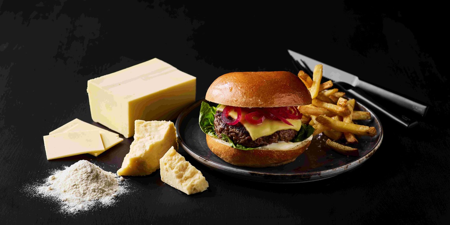 Lactosan Cheese Powders For Imitation Cheese Cheddar