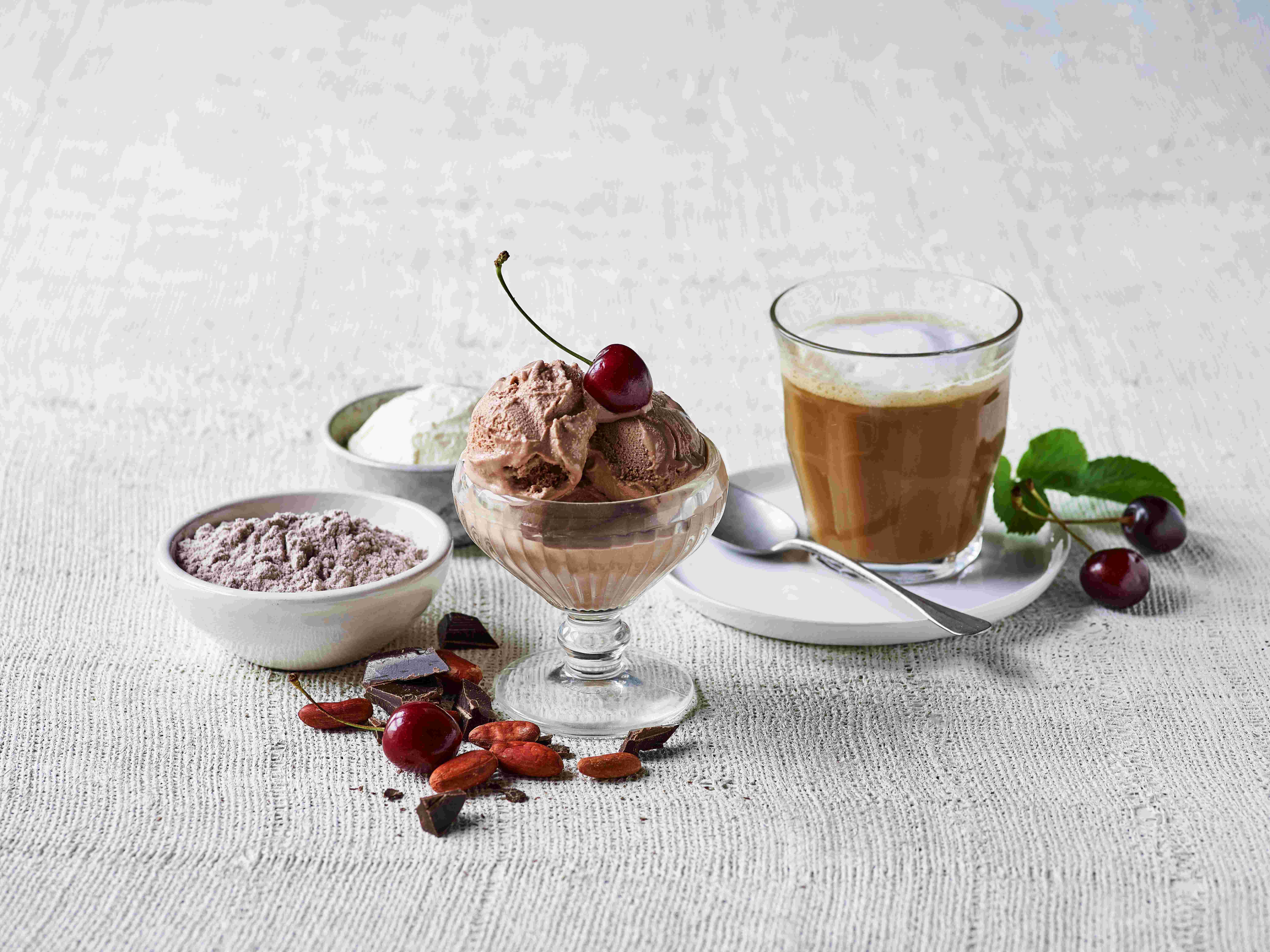 Lactosan Cheese Powders For Instant RTU Ice Cream Mascarpone Cocoa