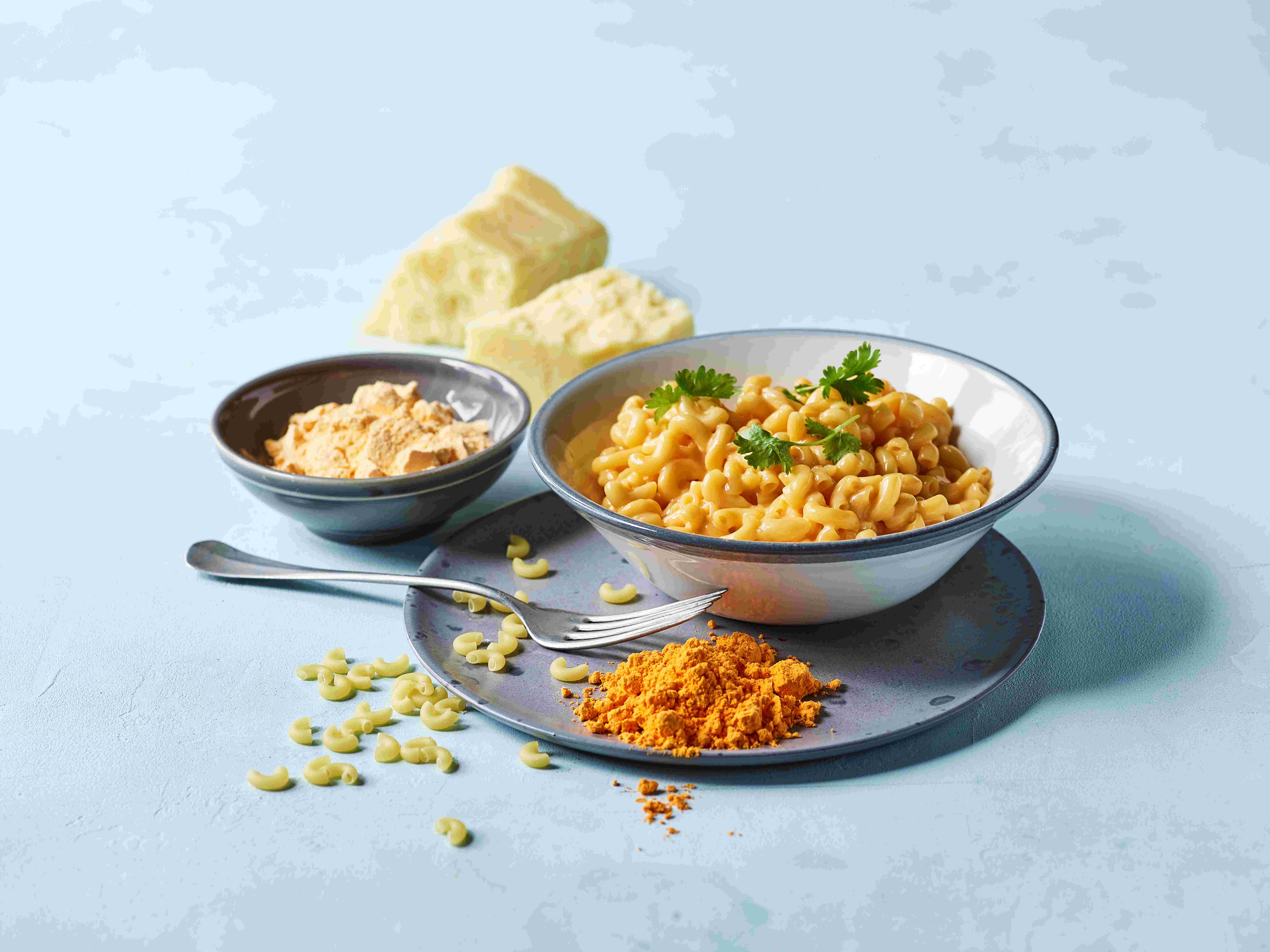 Lactosan Cheese Powder Solutions For Cheddar Seasonings And Macaroni And Cheese