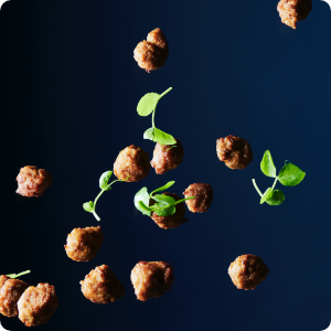 Lactosan NCB - Natural Culinary Booster® - our next generation cheese powders - for meat and meat alternatives