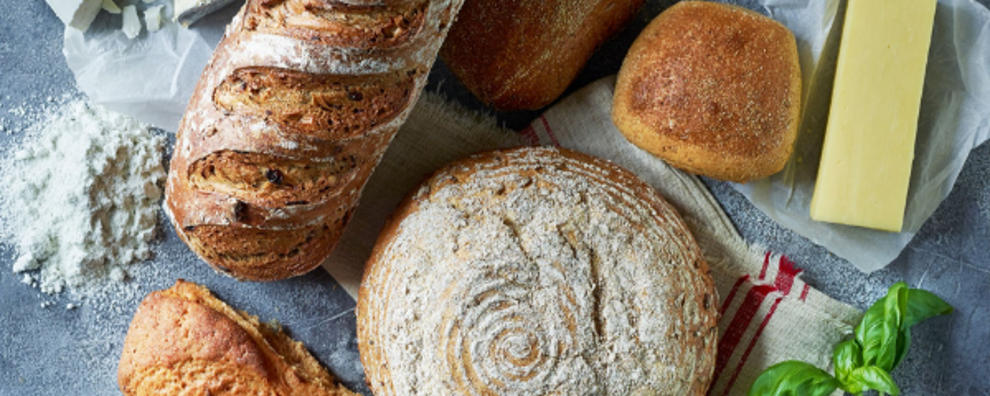Lactosan Cheese Powders for Bread & Baked Products