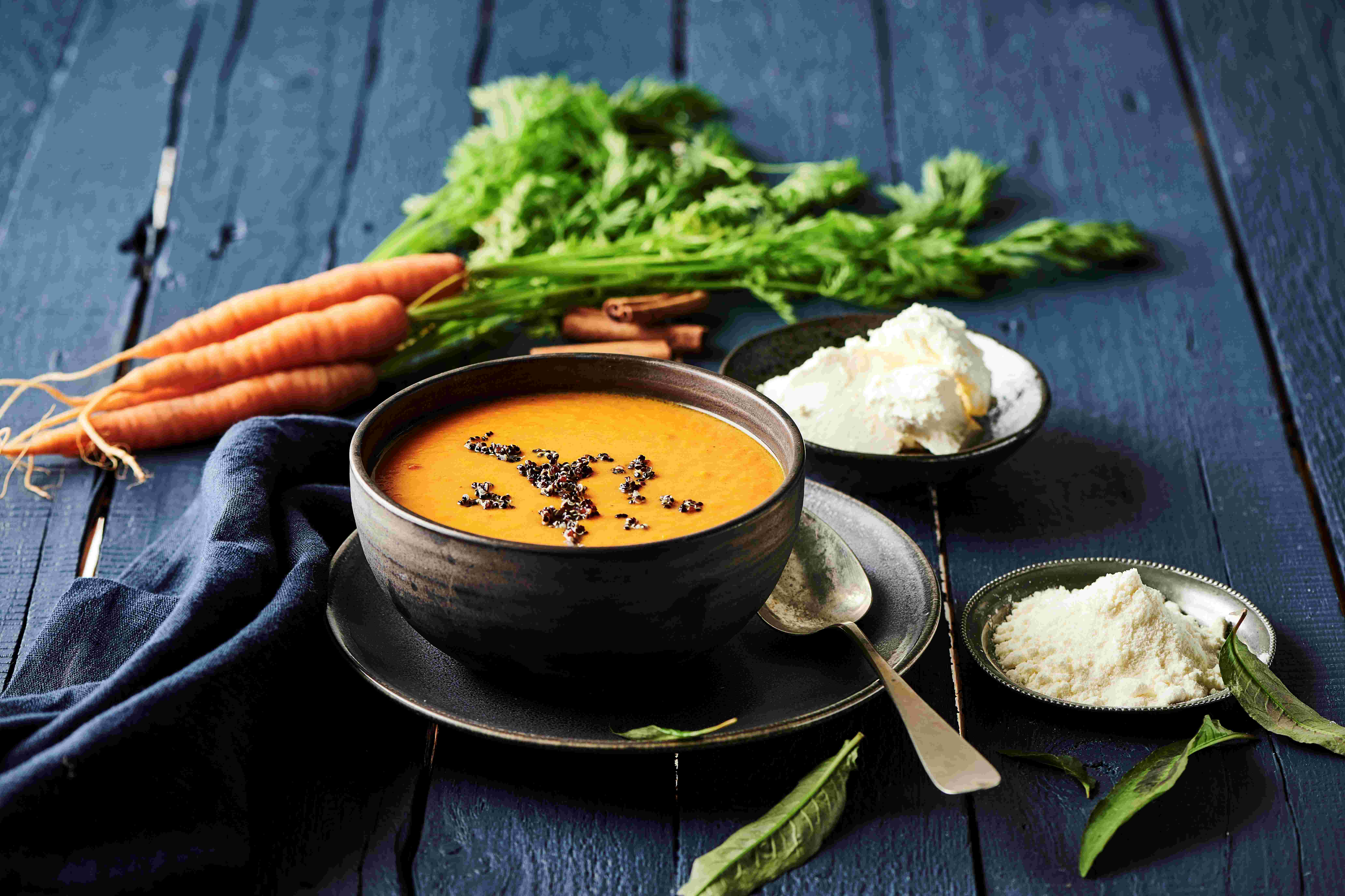 Lactosan Cheese Powder Solutions For Soups Morrocan Carrot Cream Cheese Soup
