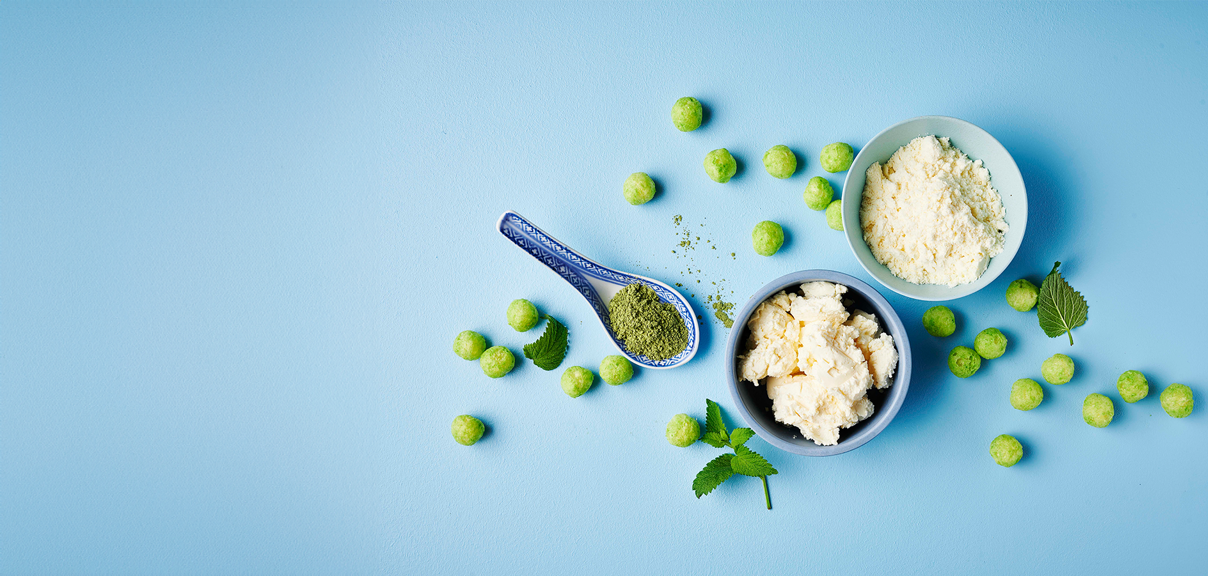 Lactosan Cheese Powder Solutions Matcha Concept Green