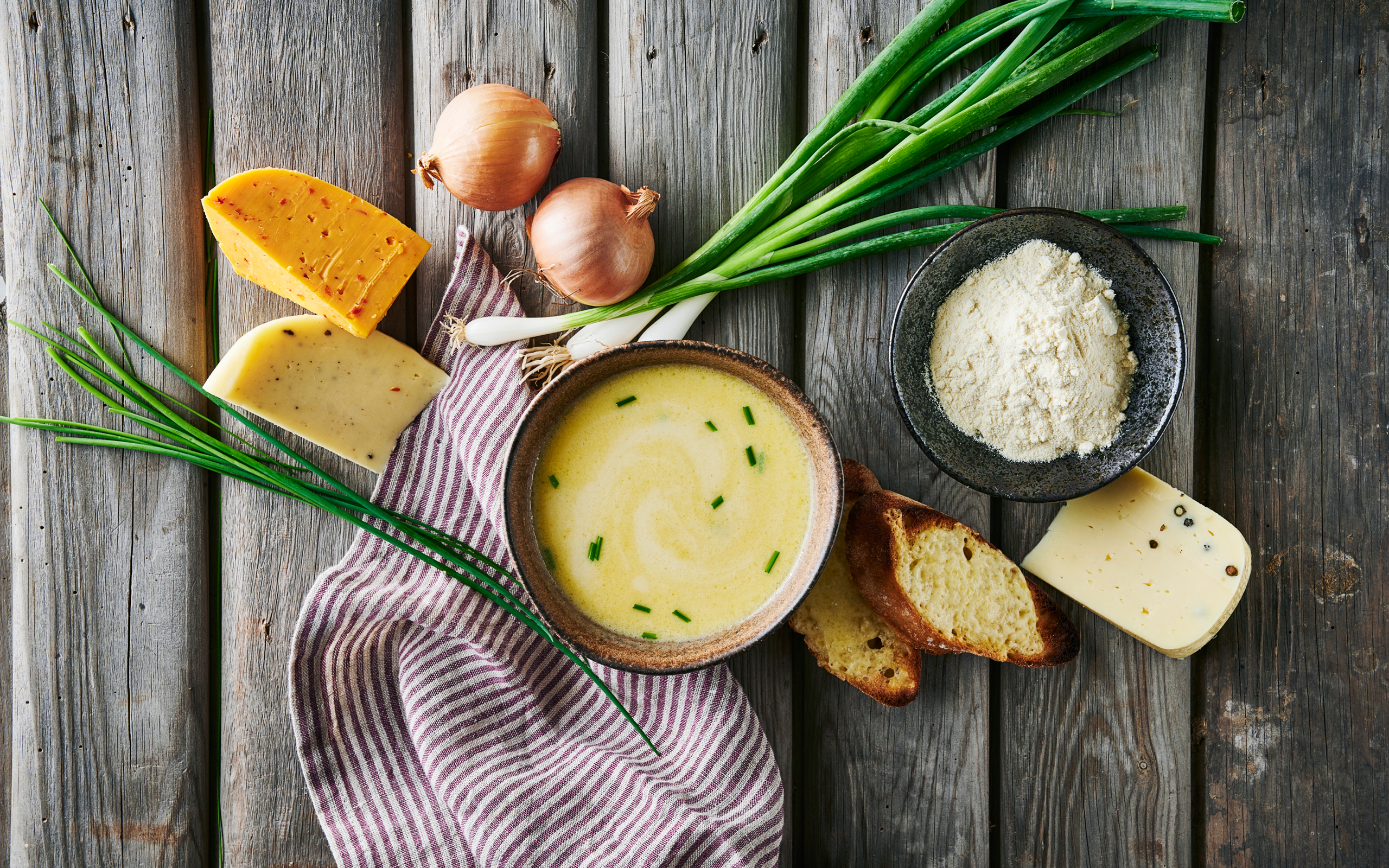 Lactosan Cheese Powder in an Authentic French Onion Soup
