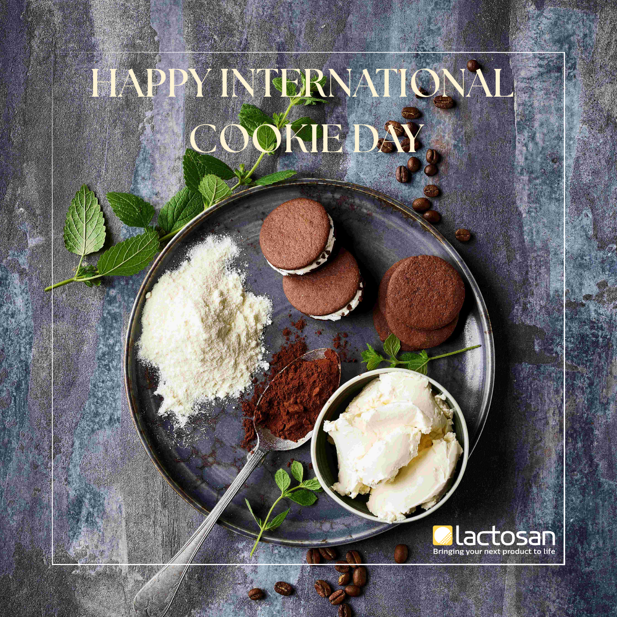 7 Lactosan Cheese Powder for Cakes and Cookies.png