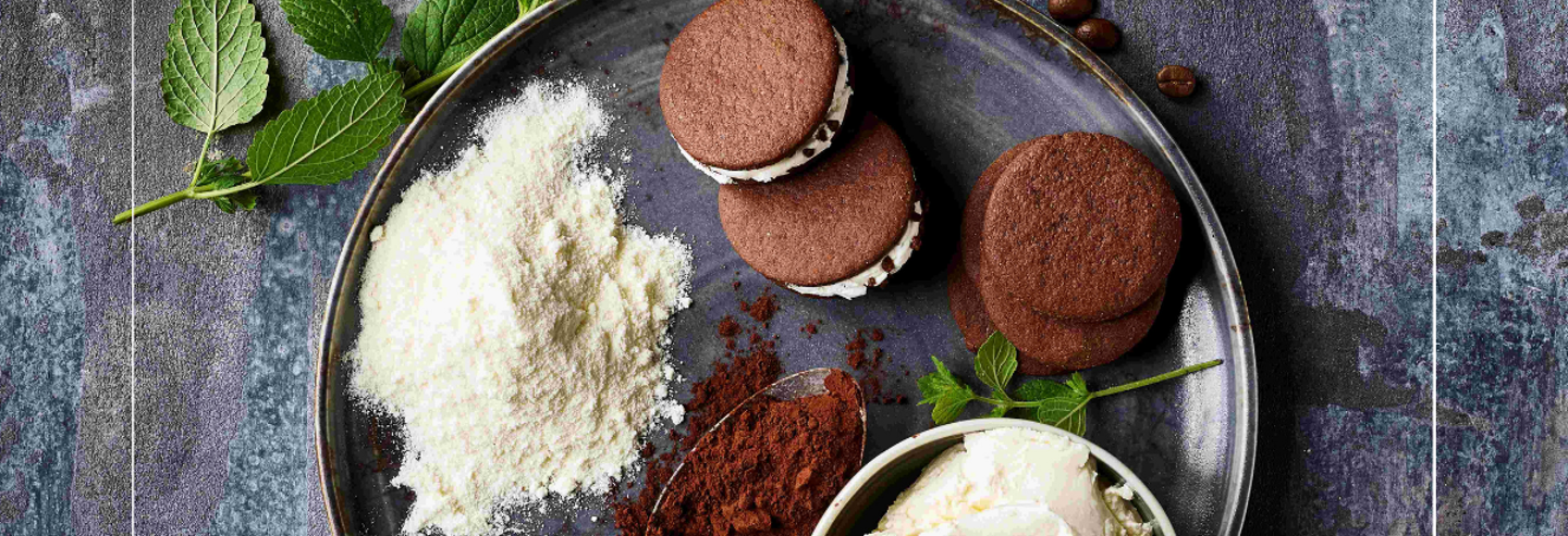 Lactosan Cheese Powder for Cakes and Cookies.png (1)