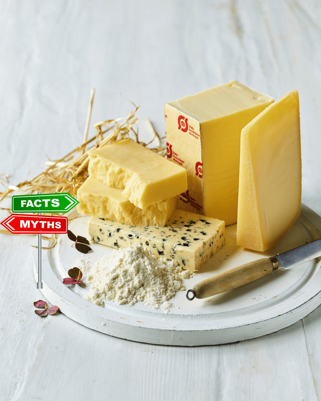 Lactosan Cheese Powder Solutions - Mythbusting.png