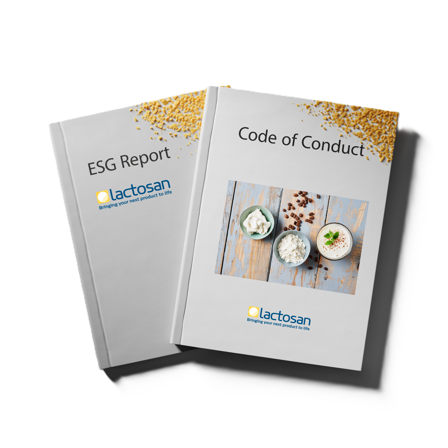 Code of Conduct & CSR