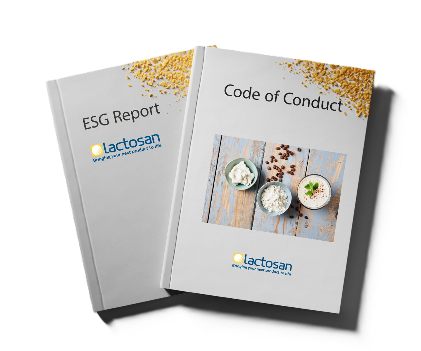 Code of Conduct & CSR