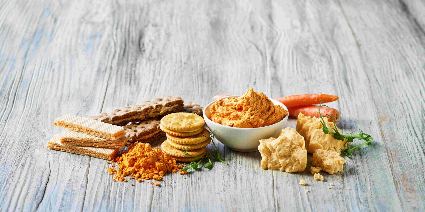 lactosan-cheese-powder-solutions-for-biscuits-and-crackers-cheddar.jpg