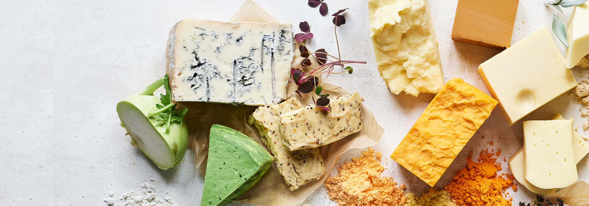 Create great tasting products with Lactosan Cheese Powders