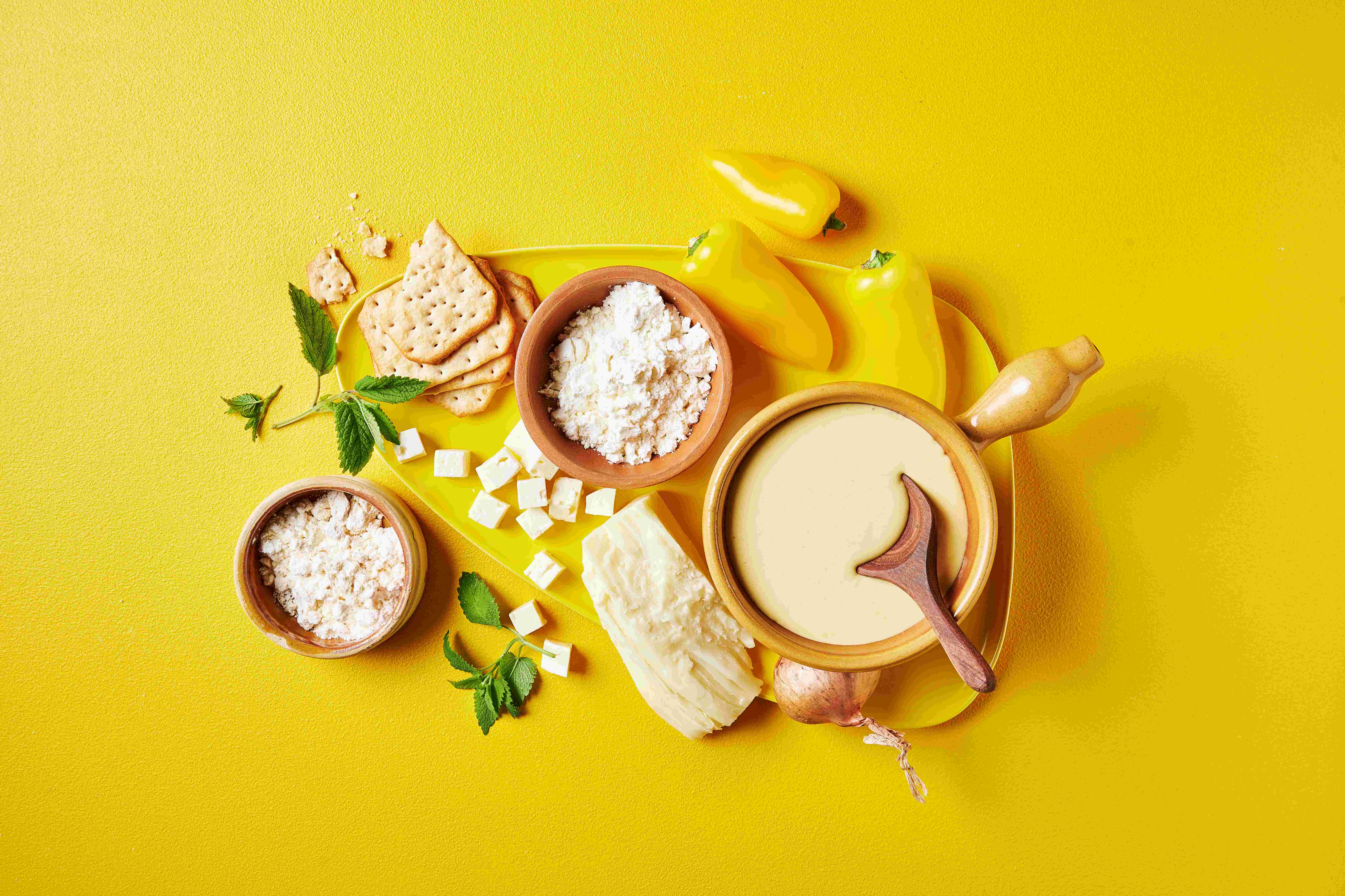 Lactosan Cheese Powder Salsa Huancaina Dip