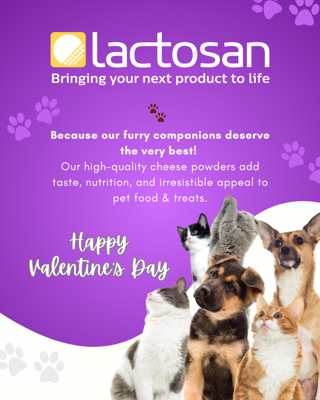 2025-valentine-day-greeting-lactosan-2.png