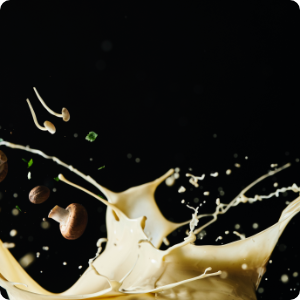 Our next generation Cheese Powder: Lactosan NCB - Natural Culinary Booster® - for sauce products 