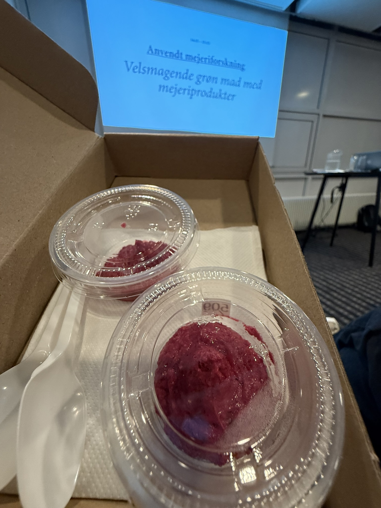 Lactosan Cheese Powder in beetroot hummus.JPEG