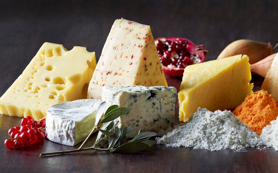 Lactosan Cheese Powders - For all Taste & Cuisines