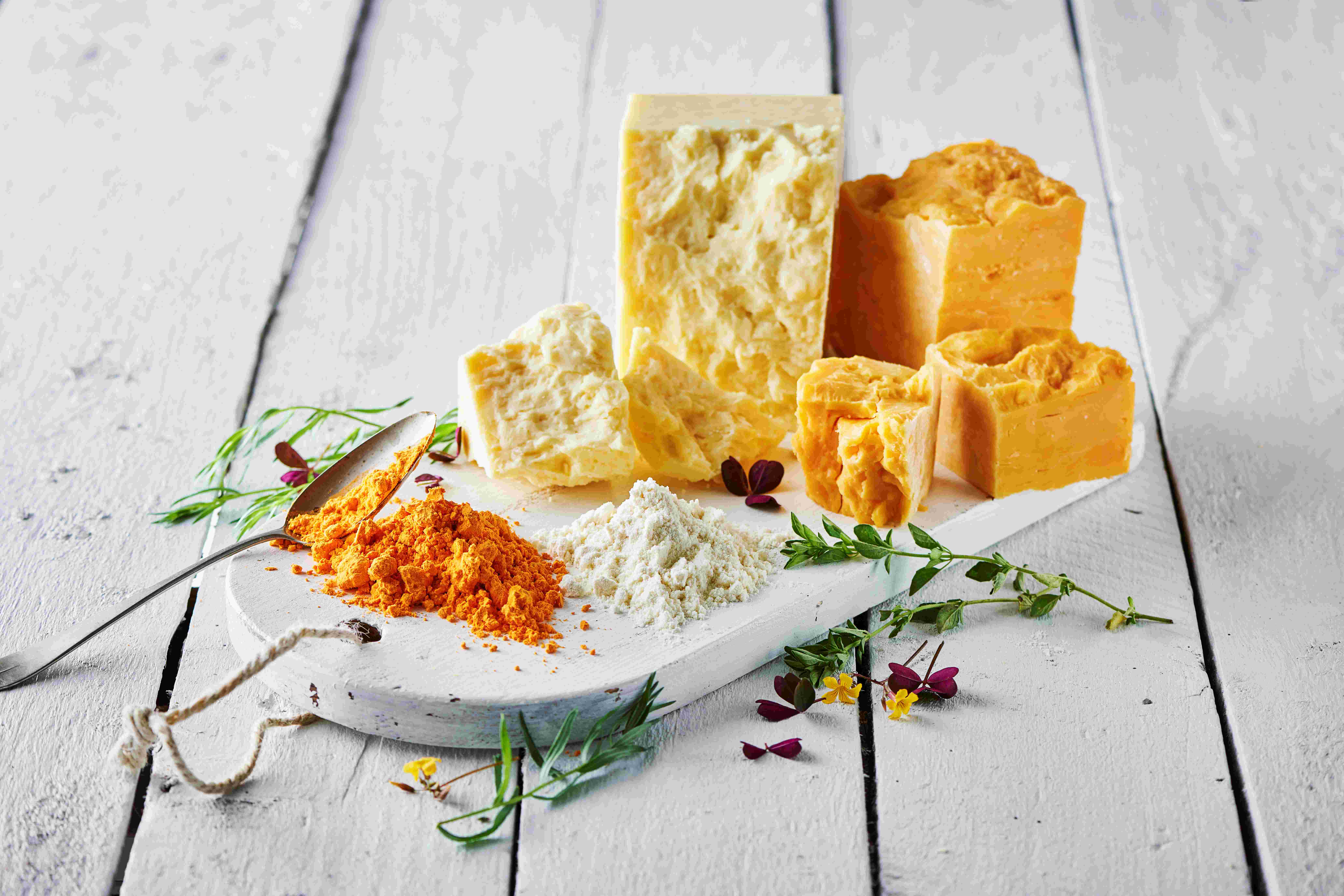 Lactosan Cheese Powder Solutions For Seasonings Cheddar Cheese Powders